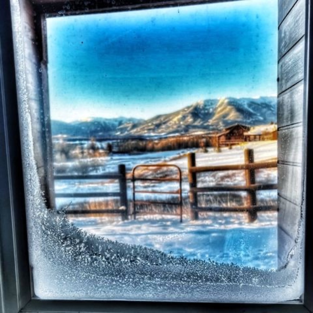 Meet your Posher, Barb